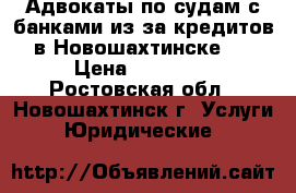 Адвокаты по судам с банками из-за кредитов в Новошахтинске   › Цена ­ 10 000 - Ростовская обл., Новошахтинск г. Услуги » Юридические   